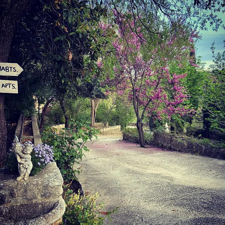 Villa Ignacia B&B - Naturaleza Entre Ronda Y Setenil Arriate 2*,