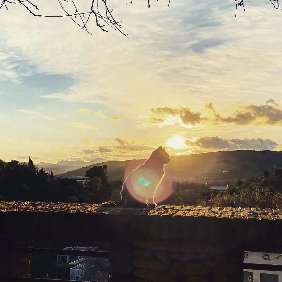 Villa Ignacia B&B - Naturaleza Entre Ronda Y Setenil Arriate Hotel