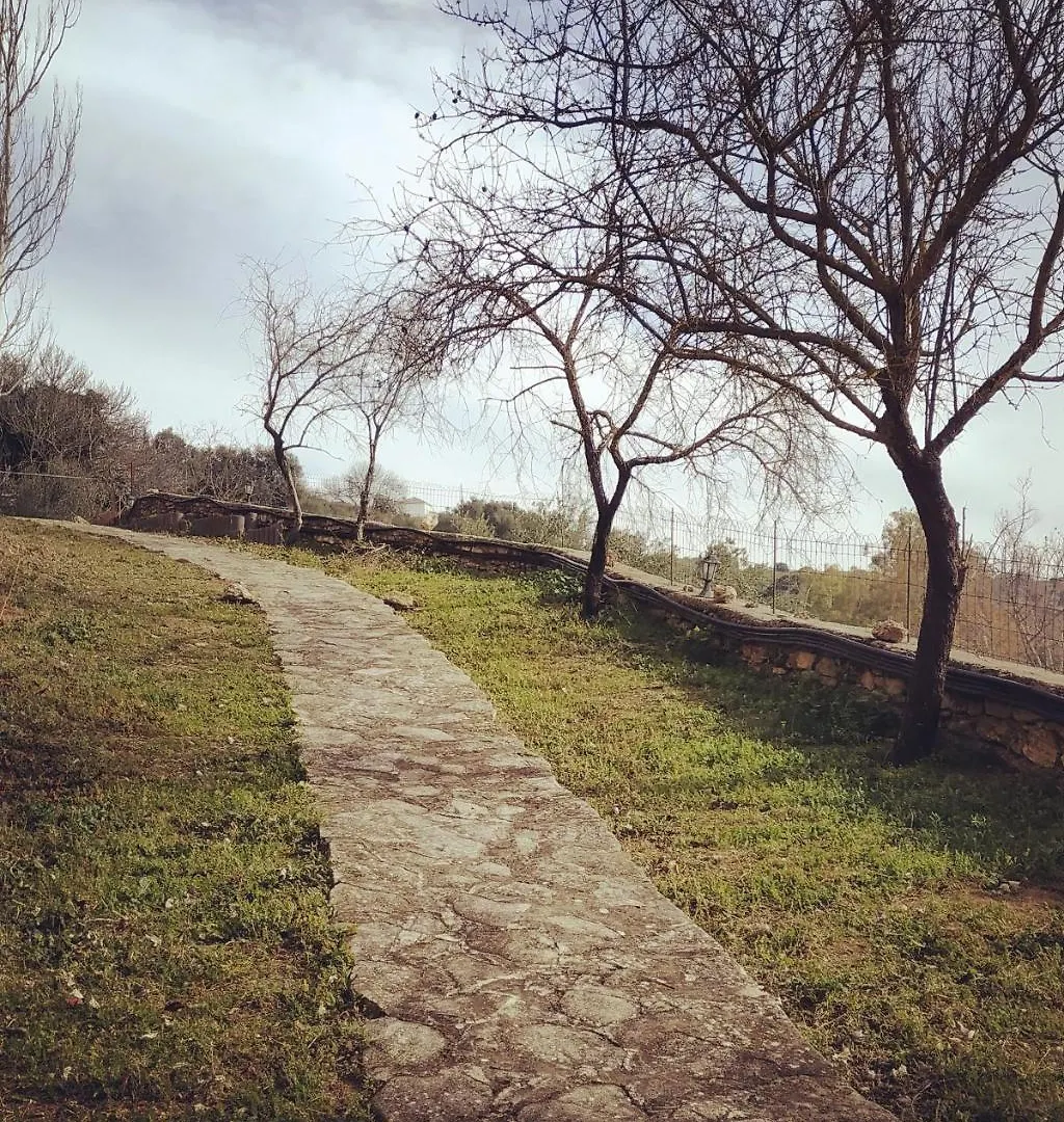 Villa Ignacia B&B - Naturaleza Entre Ronda Y Setenil Arriate España
