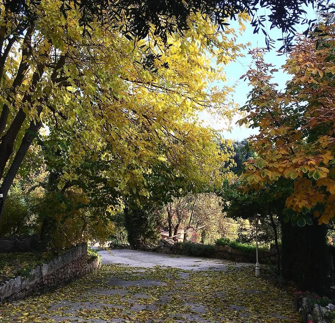 Villa Ignacia B&B - Nature Between Ronda & Setenil Arriate