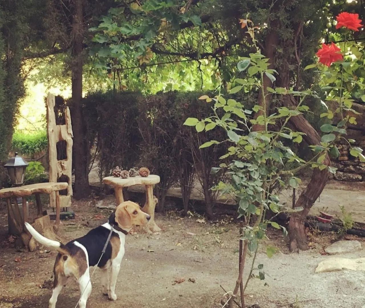 Villa Ignacia B&B - Nature Between Ronda & Setenil Arriate Hotel