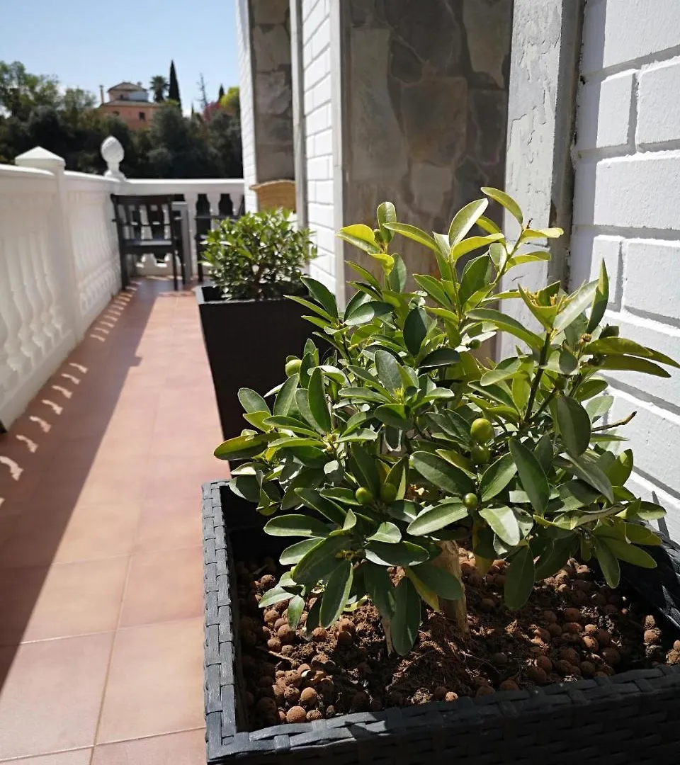 Hotel Villa Ignacia B&B - Naturaleza Entre Ronda Y Setenil Arriate